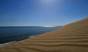 image_12955
