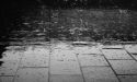 image_15879