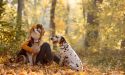 image_15894
