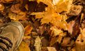 image_16203