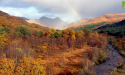 image_17262