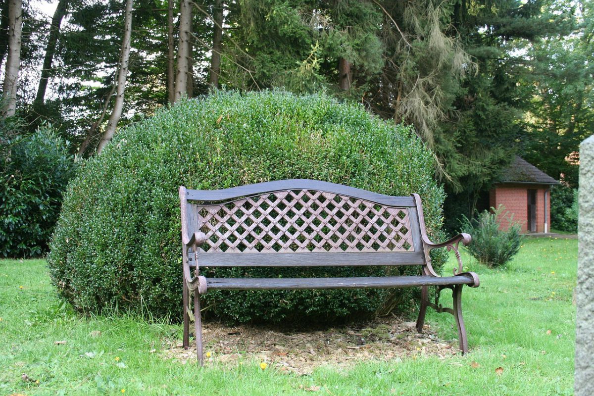 Luxusní bytové doplňky pro maximální pohodlí