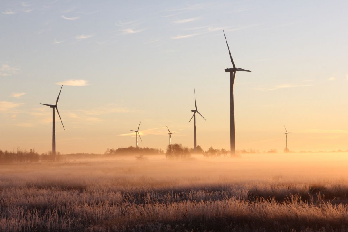 Dá se ušetřit na energiích a zároveň myslet ekologicky? Rozhodně ano