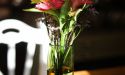image_17562