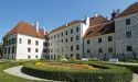 image_17685