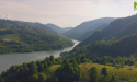 image_17949