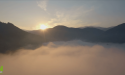 image_17950