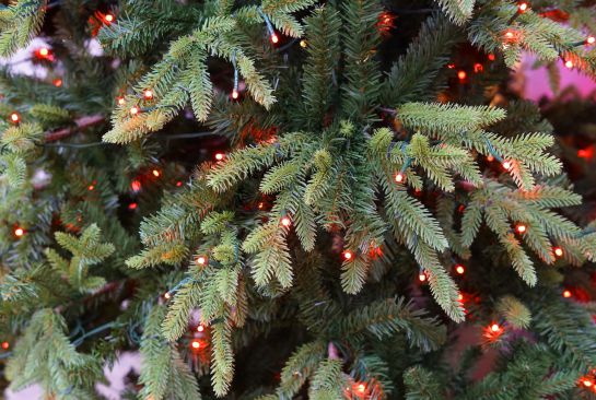image_20820