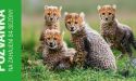 image_3868