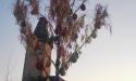 image_3920