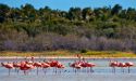 image_7635