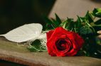 image_14280