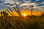 image_15638