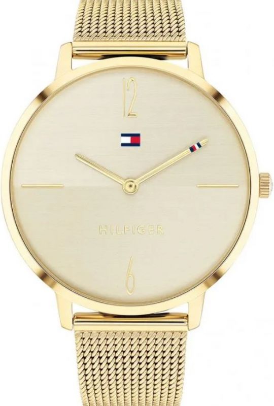 Proč si vybrat hodinky Tommy Hilfiger: Styl a Kvalita pro každého