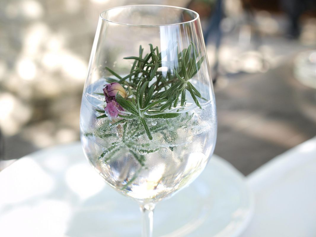 Proč si gin znovu podmaňuje bary i dom&aacute;cnosti po cel&eacute;m světě