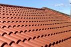 image_7310